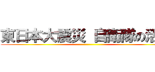 東日本大震災 自衛隊の活動 ()
