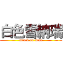 白色雪納瑞 (attack on titan)
