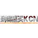 到哪里买ＫＣＮ (到哪里买KCN【电.话186x0156x9662-Q194843976林氏药业】我们做的是长期生意,靠的是老客户长期支持
参考消息网2月20日报道 韩媒称，“剩女多、离婚率高的城市，房价一定会上涨。”这是中国经济学家金岩石2016年12月参加在上海举行的房地产相关论坛时说的话。
)