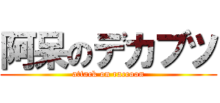 阿呆のデカブツ (attack on raccoon)