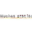 Ｍｕｃｈａｓ ｇｒａｃｉａｓ (Thank You )