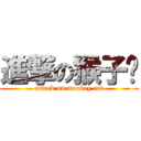 進撃の猴子貓 (attack on monkey cat)