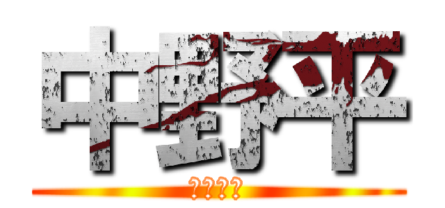 中野平 (イケメン)