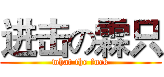 进击の霖只 (what the fuck)
