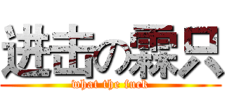 进击の霖只 (what the fuck)