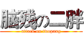 脑残の二胖 (attack on twopang)
