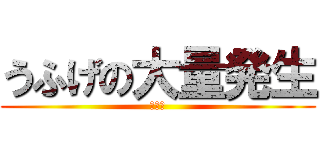 うふげの大量発生 (？？？)