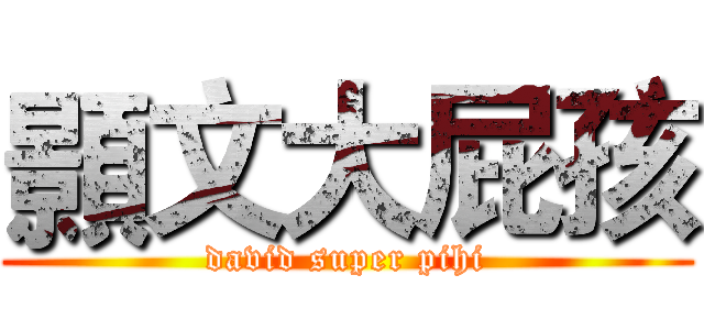 顥文大屁孩 (david super pihi)