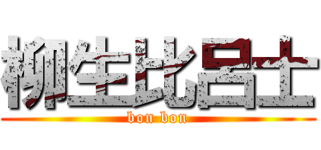 柳生比呂士 (bon bon)