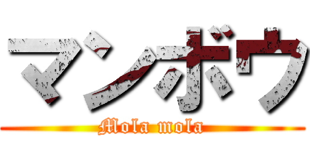 マンボウ (Mola mola)