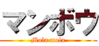 マンボウ (Mola mola)