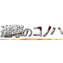 進撃のコノハ (Konoha)