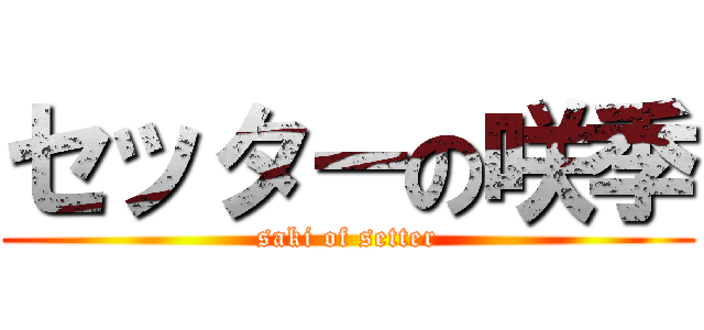 セッターの咲季 (saki of setter)