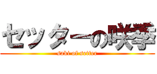 セッターの咲季 (saki of setter)