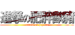 進撃の肥胖歐豬 (attack on pig cat)