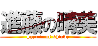進藤の晴美 (harumi of shindo)