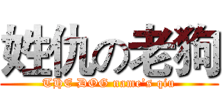 姓仇の老狗 (THE DOG name’s qiu)