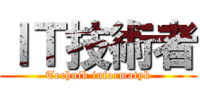 ＩＴ技術者 (Technik informatyk)