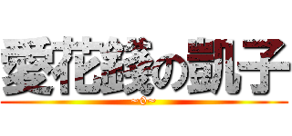 愛花錢の凱子 (~0~)