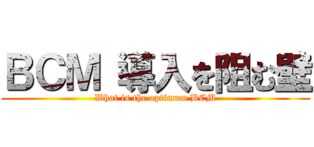 ＢＣＭ 導入を阻む壁 (What is the optimum BCM)