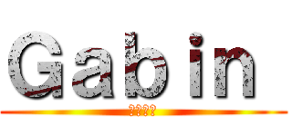 Ｇａｂｉｎ  (ギャバン)