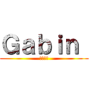 Ｇａｂｉｎ  (ギャバン)