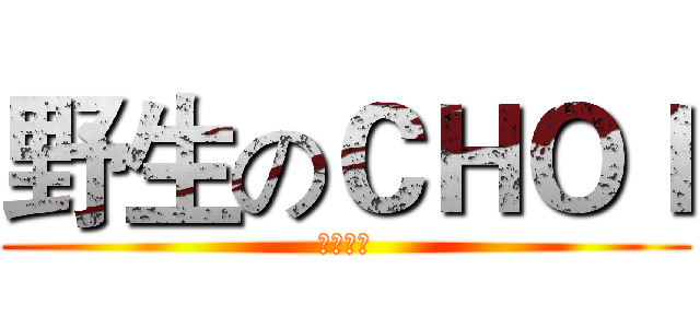 野生のＣＨＯＩ (王者荣耀)