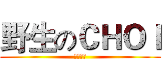 野生のＣＨＯＩ (王者荣耀)
