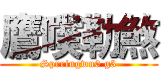 鷹噗勒煞 (Sprringwu0 g3)