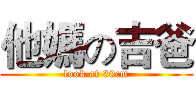 他媽の吉爸 (look at 30cm)