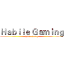 Ｈａｂｉｌｅ Ｇａｍｉｎｇ (Habile Gaming)