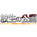 放生の公廁 (attack on titan)