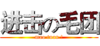 进击の毛团 (mao tuan !)