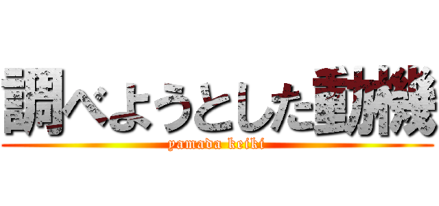 調べようとした動機 (yamada keiki)