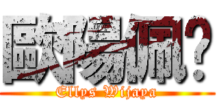 歐陽佩铭 (Ellys Wijaya)