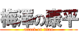 梅澤の康平 (attack on titan)