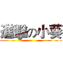 進擊の小葵 ()