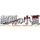 超萌の小夏 (attack on titan)