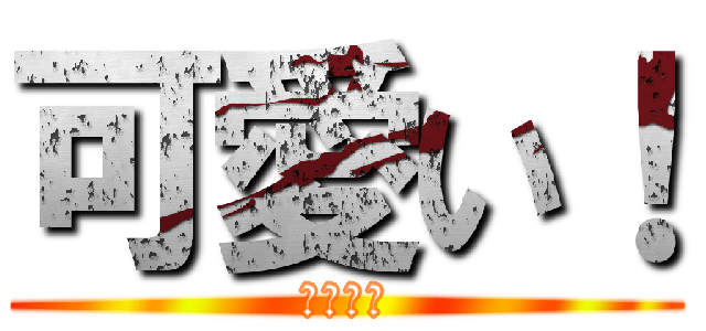 可愛い！ (可愛い‼)