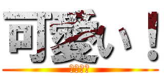 可愛い！ (可愛い‼)