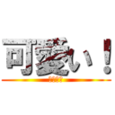 可愛い！ (可愛い‼)