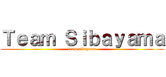 Ｔｅａｍ Ｓｉｂａｙａｍａ (team sibayama)