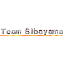 Ｔｅａｍ Ｓｉｂａｙａｍａ (team sibayama)