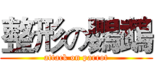 整形の鸚鵡 (attack on parrot)