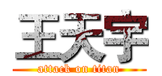 王天宇 (attack on titan)