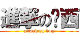 進撃の萊西 (attack on dog)