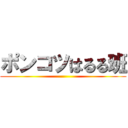 ポンコツはるる班 ()