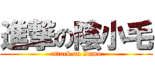 進撃の陰小毛 (attack on Inmo)