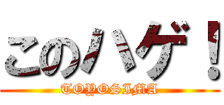 このハゲ！ (TOYOSIMA)