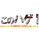 このハゲ！ (TOYOSIMA)
